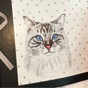 New in original packaging- cotton cat apron